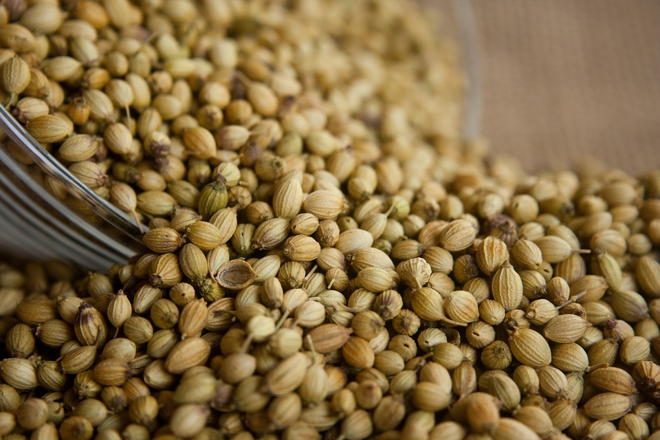 Ingredient seasoning herb
