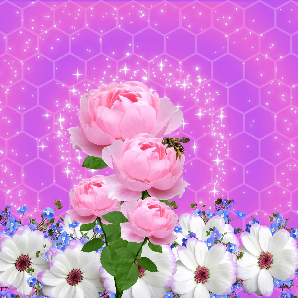 Summer floral colorful