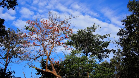 Landscape sky outdoors