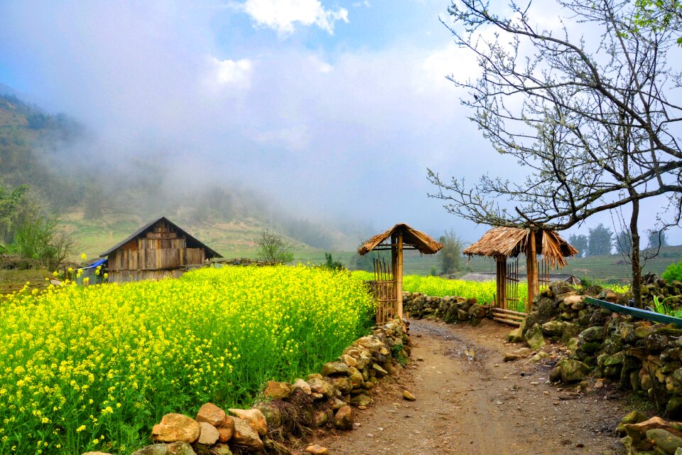 Spring sa pa Free photos