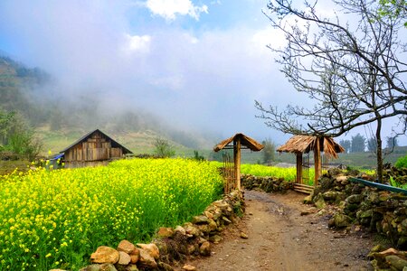 Spring sa pa Free photos