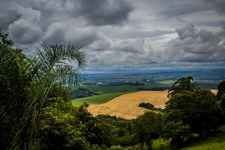 Tree widescreen sky