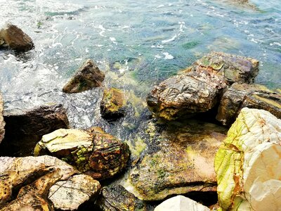 Sea pierre wave
