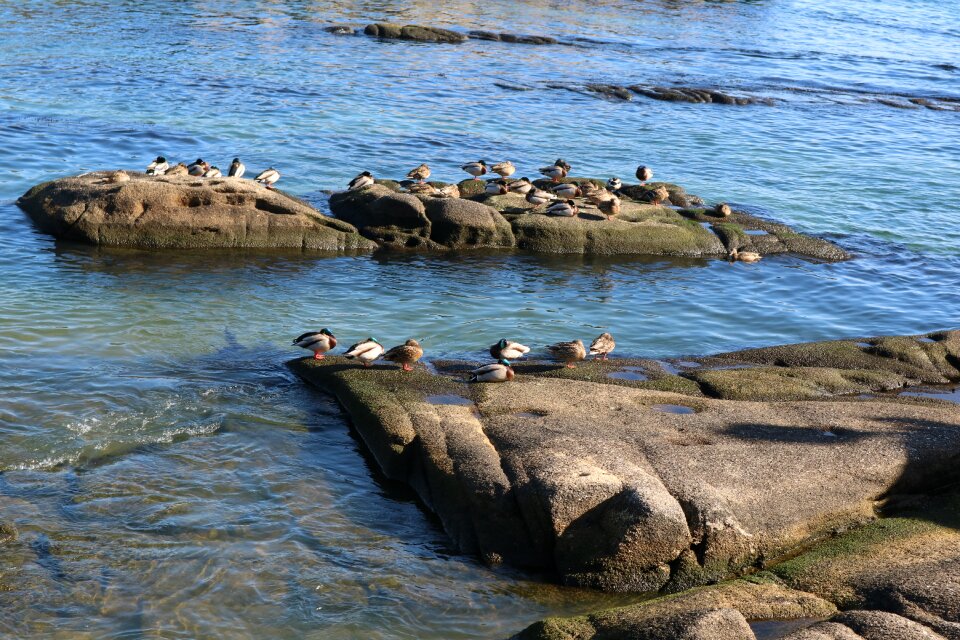Sea coast ocean
