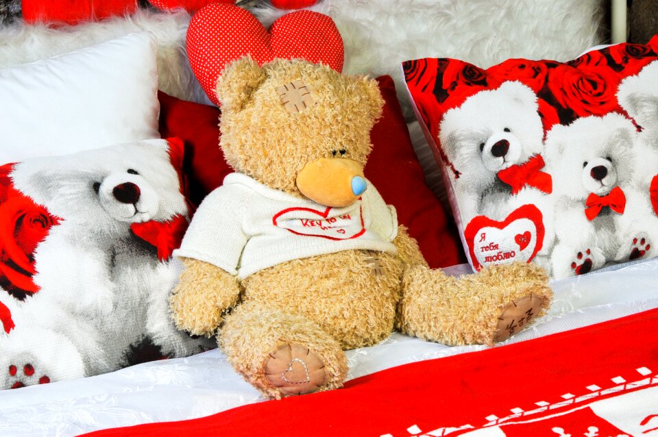 Teddy bear teddy-bear