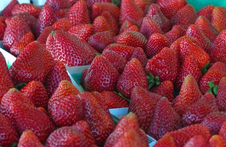 Strawberry sweet juicy