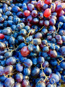 Berry juicy bunch