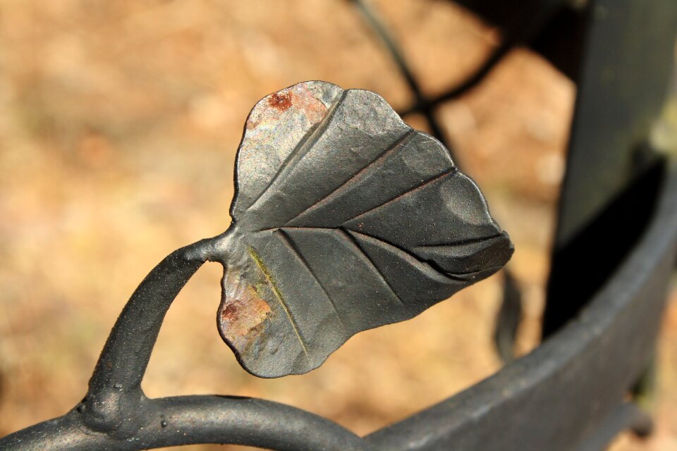 Rust black