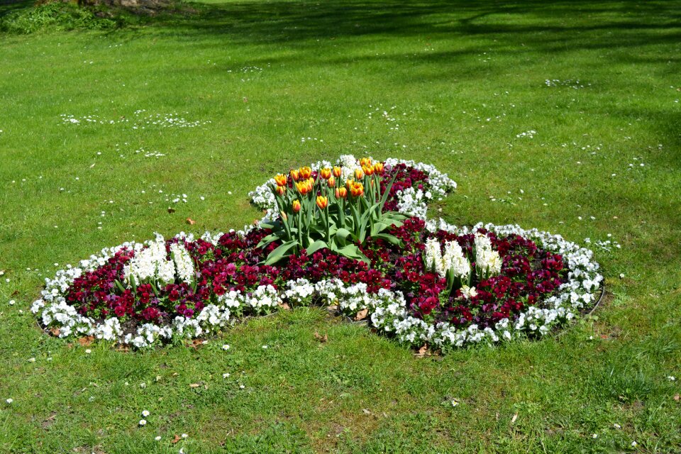 Flower greizer park thuringia germany