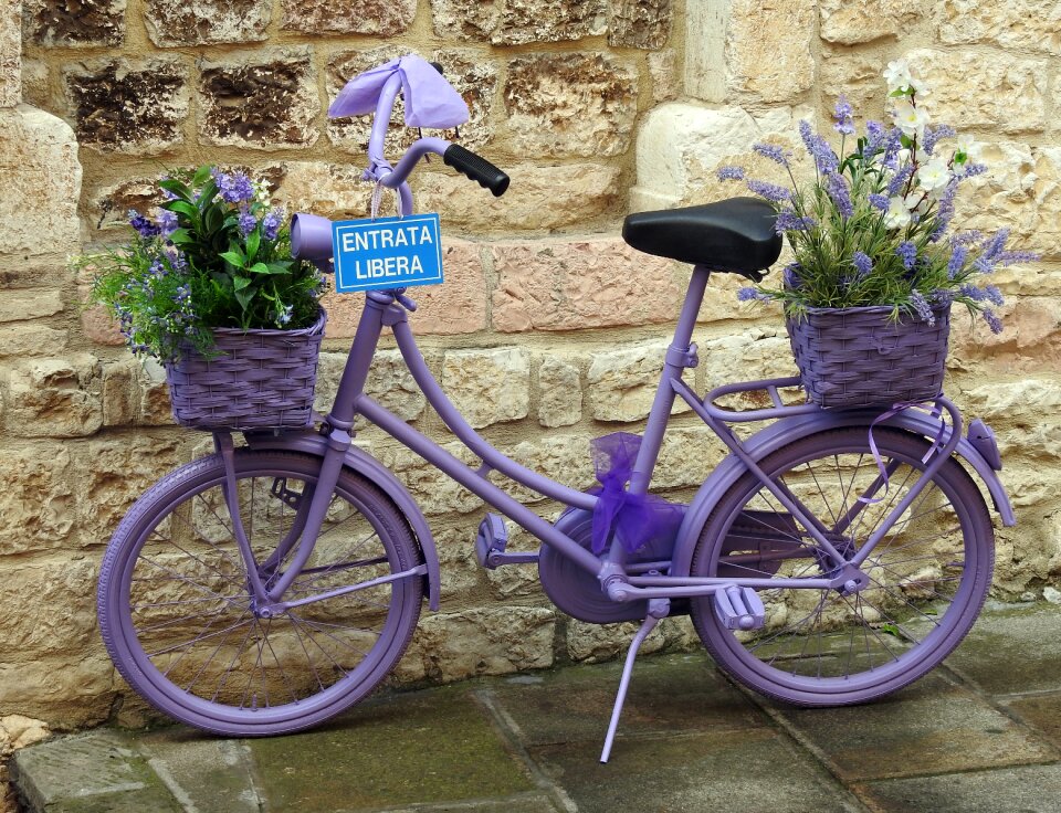 Bicycle lavender Free photos