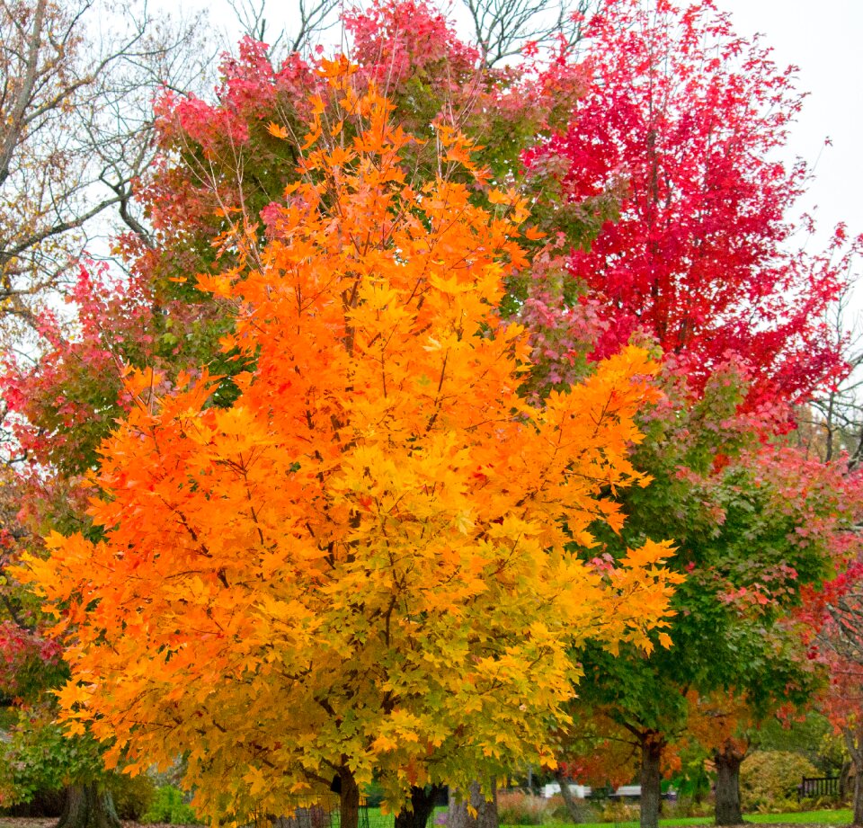 Season park