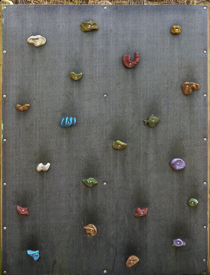 Climb playground climbing plant
