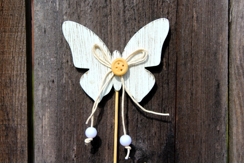 Decoration nature no one