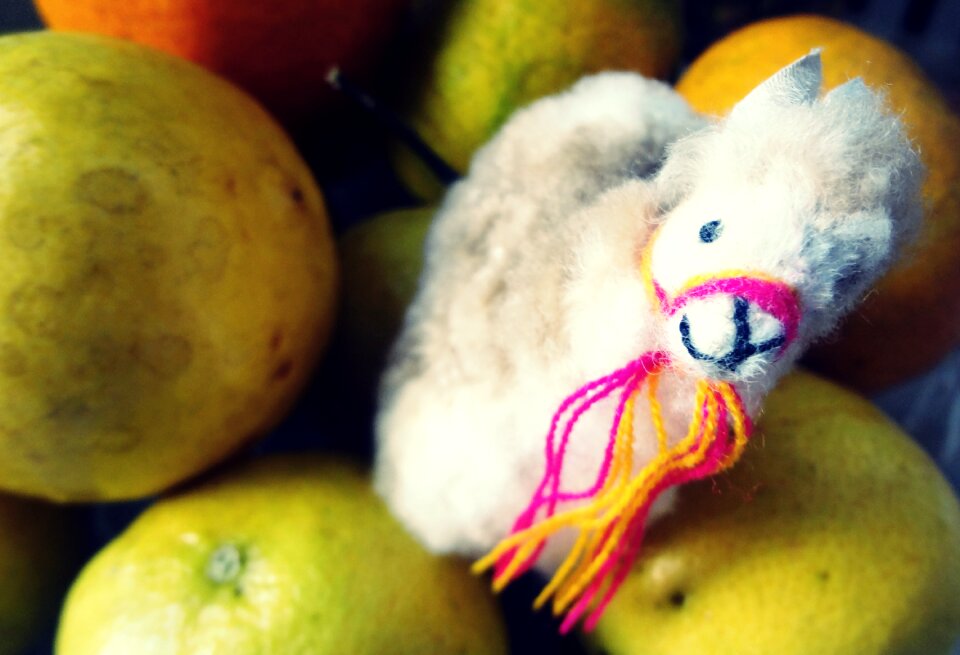 Nature orange fruit