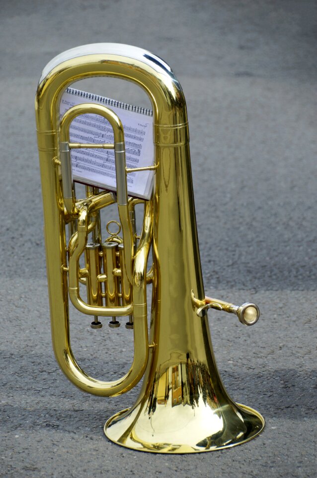 No person cornet tuba