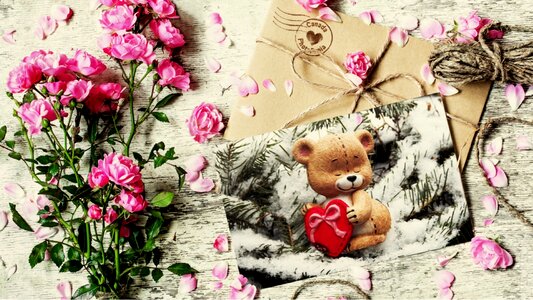 Rose petals teddy bear the envelope