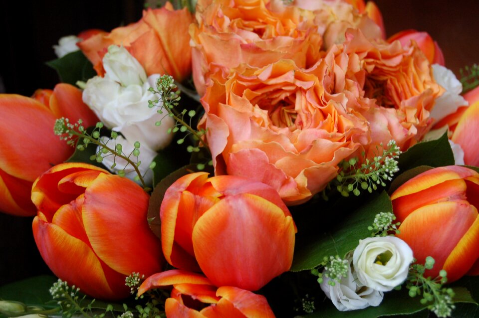 Wallpaper orange flowers floral