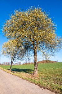 Rural season spring