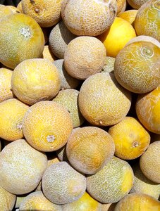 Fruit in good health wallpaper