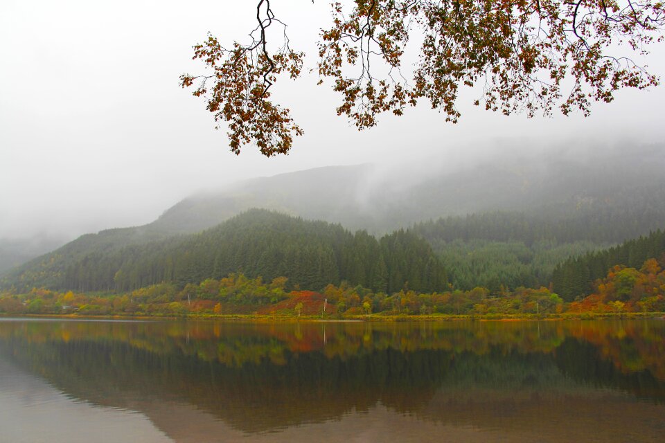 Loch lubnaig nature tree