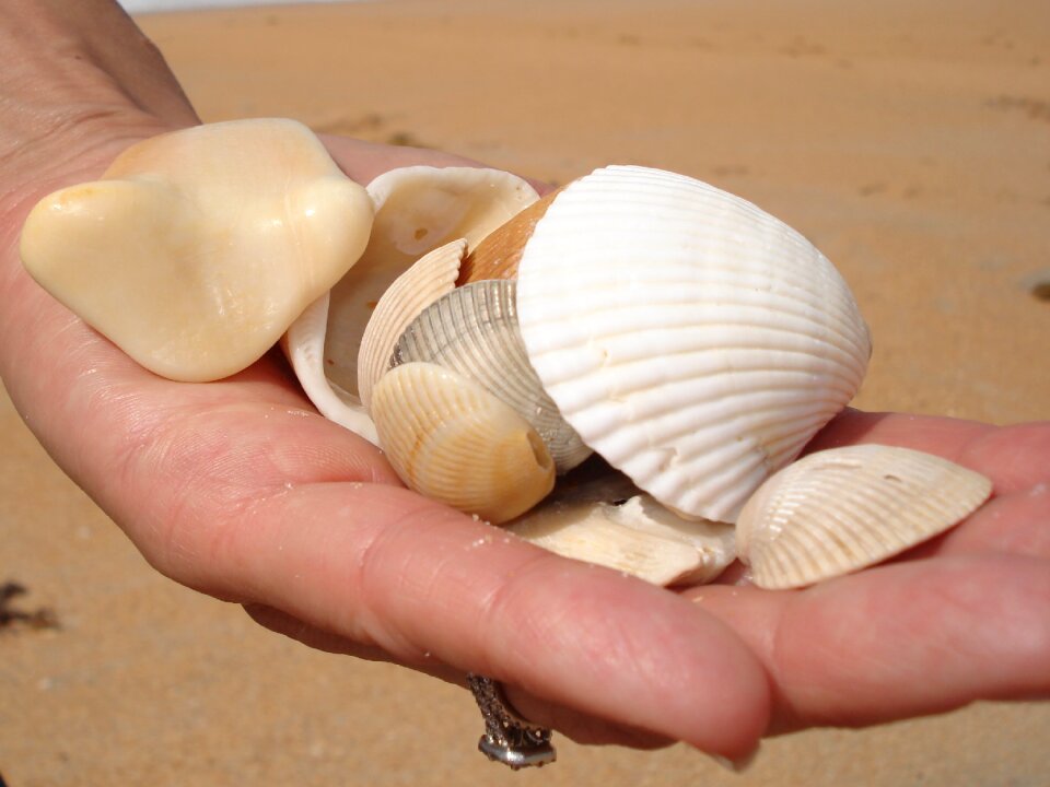 Seashore sand nature