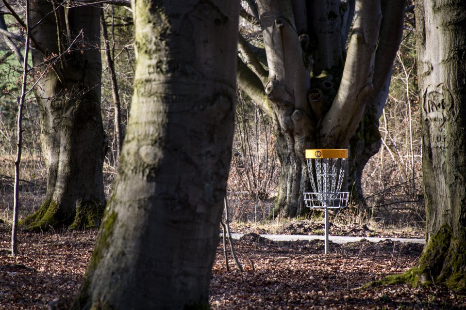 Frisbee leisure disc golf basket