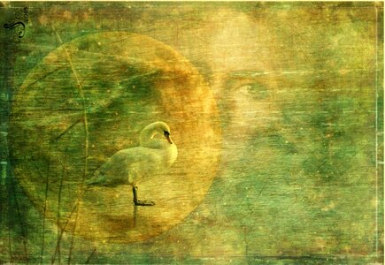Old texture antique