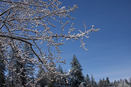 Season snow landscape