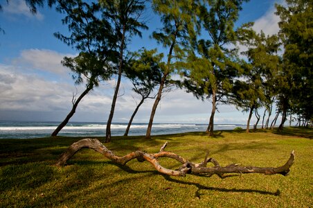 Waters sky mauritius