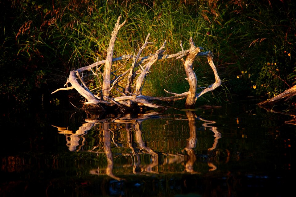 Nature water bodies Free photos