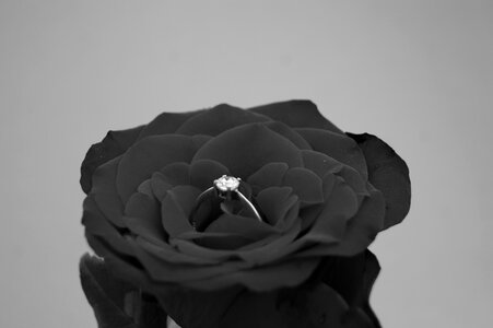 Rose engagement ring photo