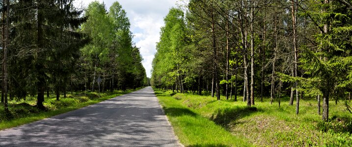 Summer landscape way