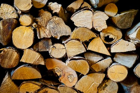 Wood tree log organic