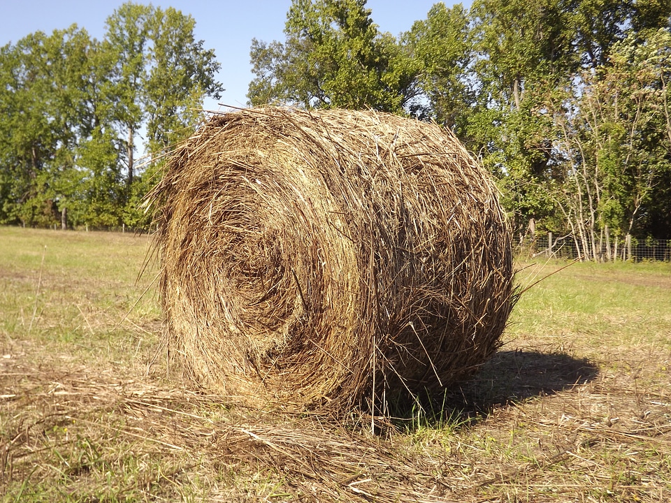 Haystacks stack paja