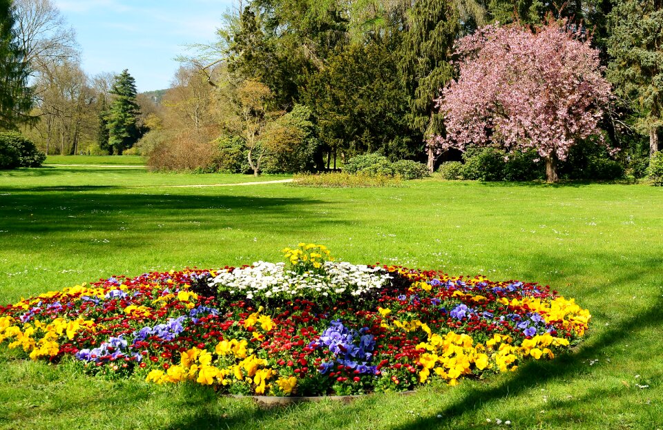 Flower greizer park places of interest