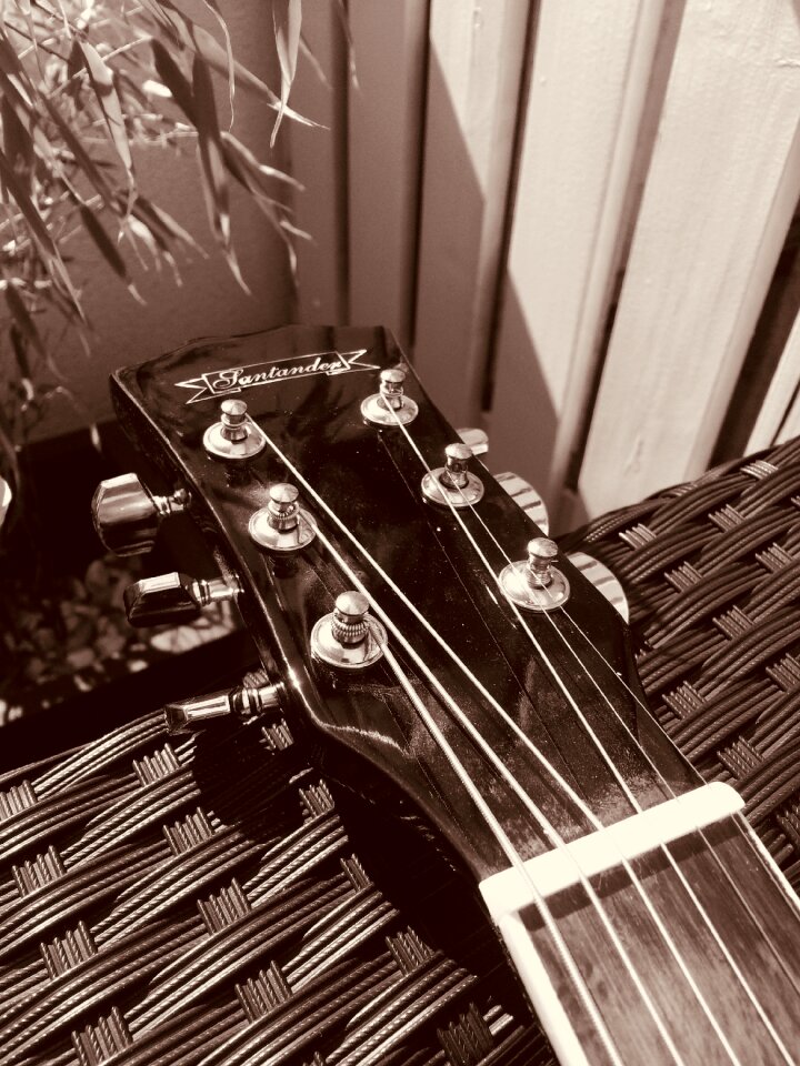 Stringed instrument guitar jazz