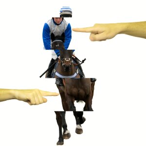 Jockey thoroughbred competition