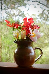Vase flora color photo