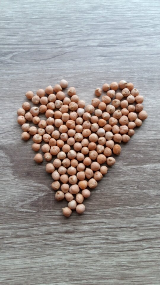 Food power health healthy