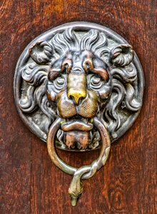 Input door knob brass