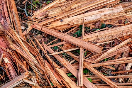 Industry nature sawdust