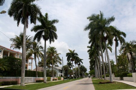 Hotel vacation luxury