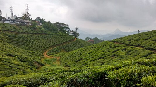 Landscape field farm