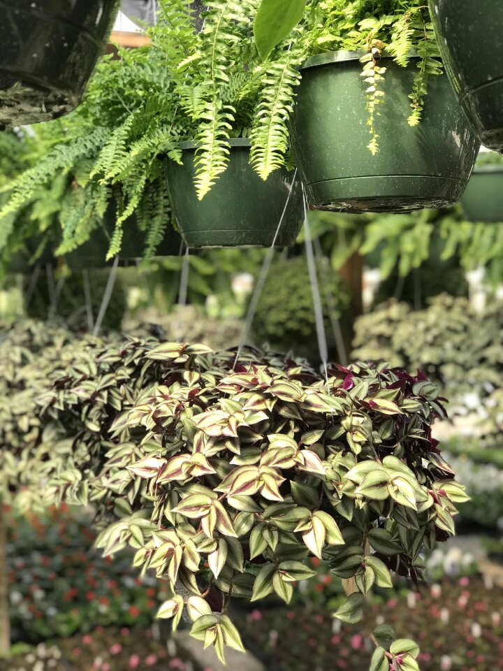 Nature agriculture garden