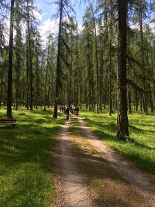 Mountain bike mtb Free photos