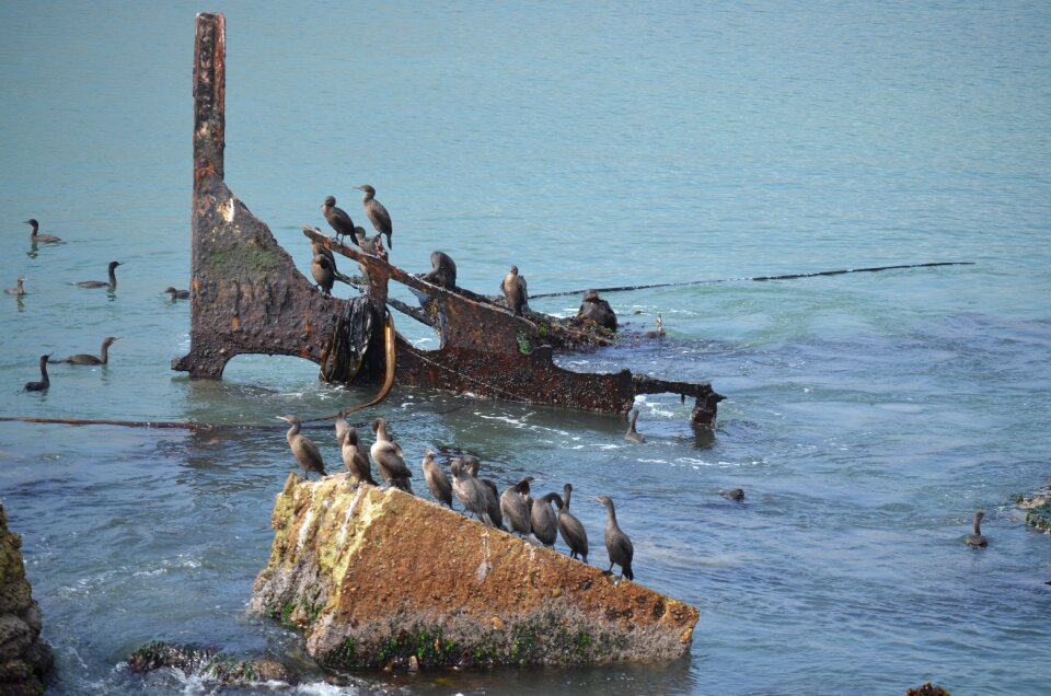 Travel seashore