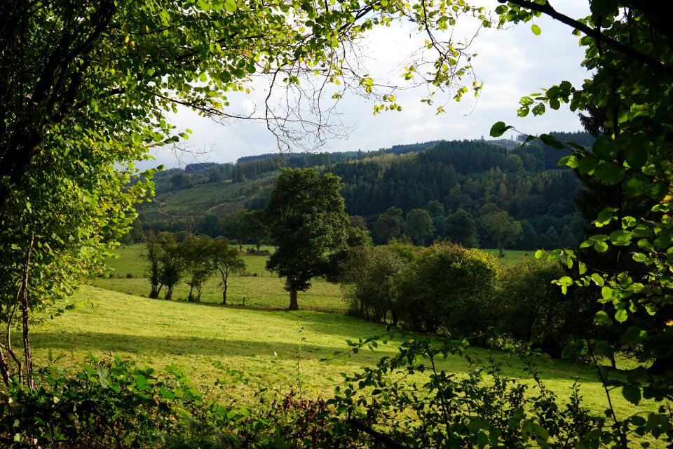 Nature landscape panorama