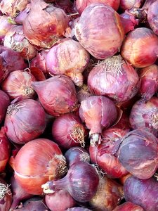 Food market vegetable