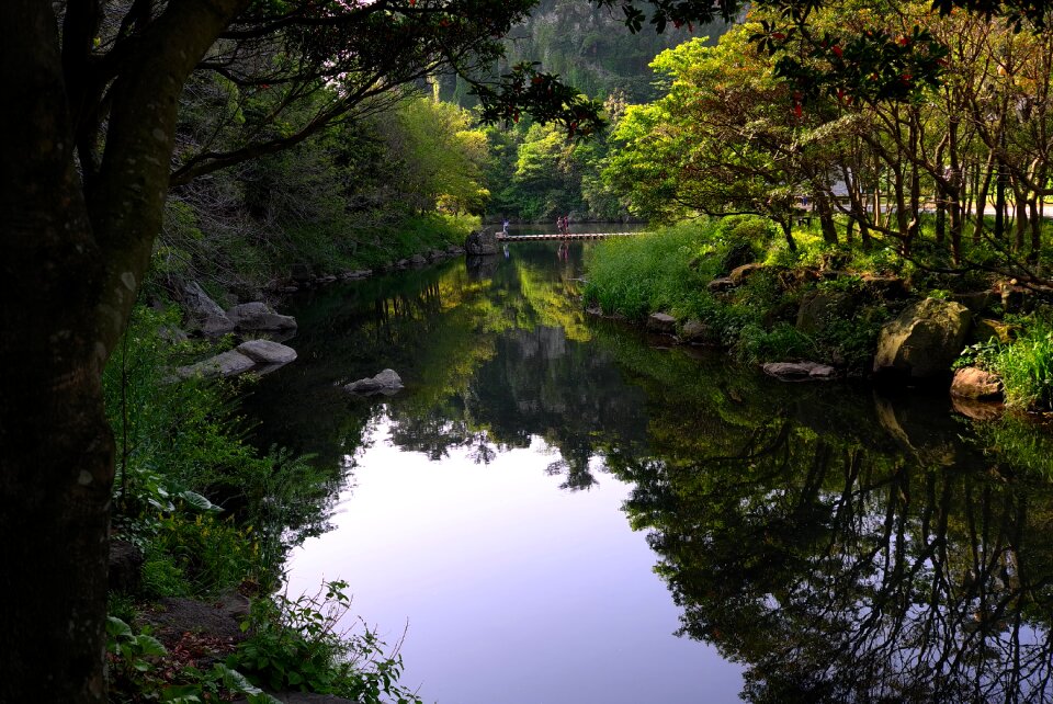 River scenery water