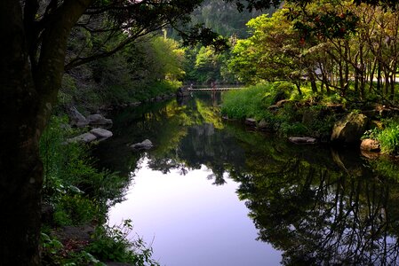 River scenery water photo